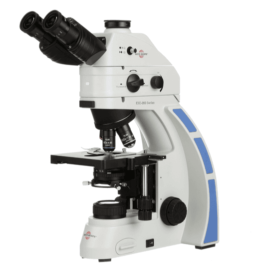 Fluorescence Microscope